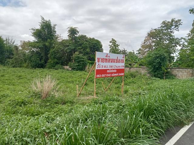 ที่ดิน 1750000 พะเยา กิ่งอำเภอภูกามยาว ดงเจน ที่ดิน 1750000 พะเยา กิ่งอำเภอภูกามยาว ดงเจน