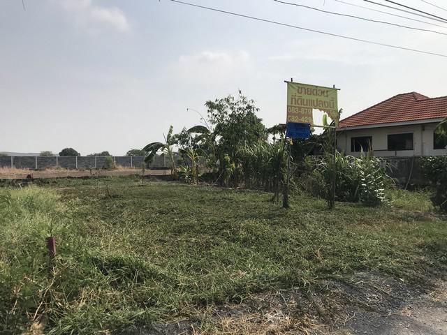 ที่ดิน 750000 ปทุมธานี คลองหลวง คลองสอง ที่ดิน 750000 ปทุมธานี คลองหลวง คลองสอง