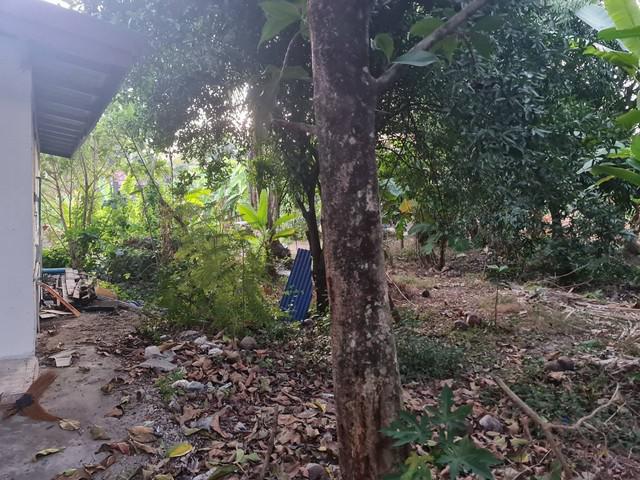 บ้านเดี่ยว 4200000 นนทบุรี บางใหญ่ บางเลน บ้านเดี่ยว 4200000 นนทบุรี บางใหญ่ บางเลน