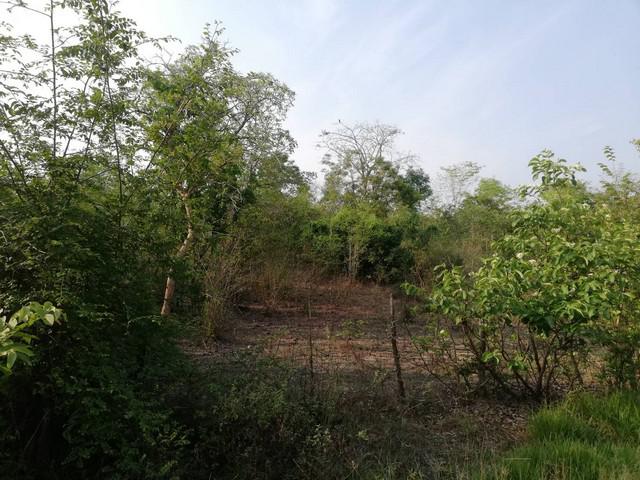 ที่ดิน 300000 ตาก บ้านตาก ตากตก ที่ดิน 300000 ตาก บ้านตาก ตากตก