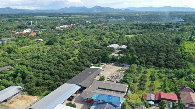 ที่ดิน 850000 ลำพูน ป่าซาง ท่าตุ้ม ที่ดิน 850000 ลำพูน ป่าซาง ท่าตุ้ม