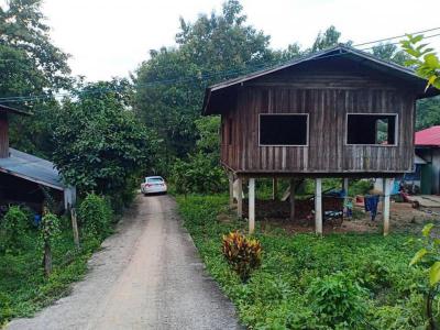 ที่ดิน 800000 น่าน สันติสุข ดู่พงษ์