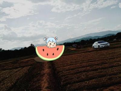 ที่ดิน 800000 น่าน ท่าวังผา ศรีภูมิ