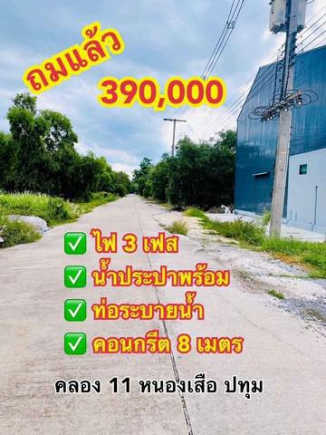 ที่ดิน 390000 ปทุมธานี หนองเสือ บึงบา