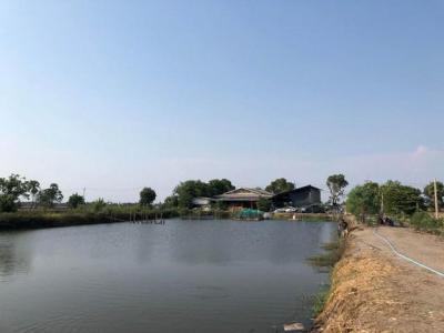 ที่ดิน 11000000 ฉะเชิงเทรา เมืองฉะเชิงเทรา คลองนครเนื่องเขต