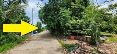 ที่ดิน 1100000 ปทุมธานี หนองเสือ ศาลาครุ