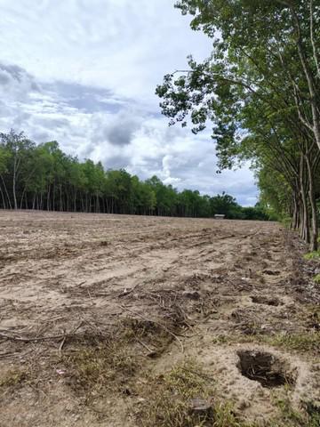ที่ดิน 700000 ระยอง บ้านค่าย บางบุตร