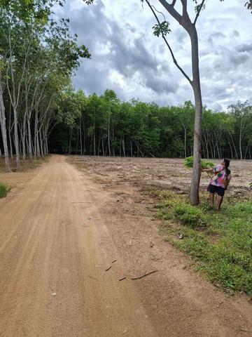 ที่ดิน 700000 ระยอง บ้านค่าย บางบุตร ที่ดิน 700000 ระยอง บ้านค่าย บางบุตร