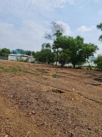 ที่ดิน 45000 ปทุมธานี ธัญบุรี ประชาธิปัตย์