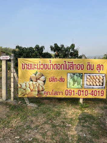 ที่ดิน 8200000 ลำปาง เถิน แม่มอก