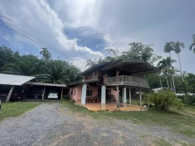 บ้านเดี่ยว 6500000 นครศรีธรรมราช ทุ่งสง เขาโร