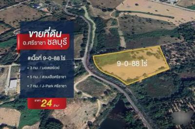 ที่ดิน 24000000 ชลบุรี ศรีราชา หนองขาม