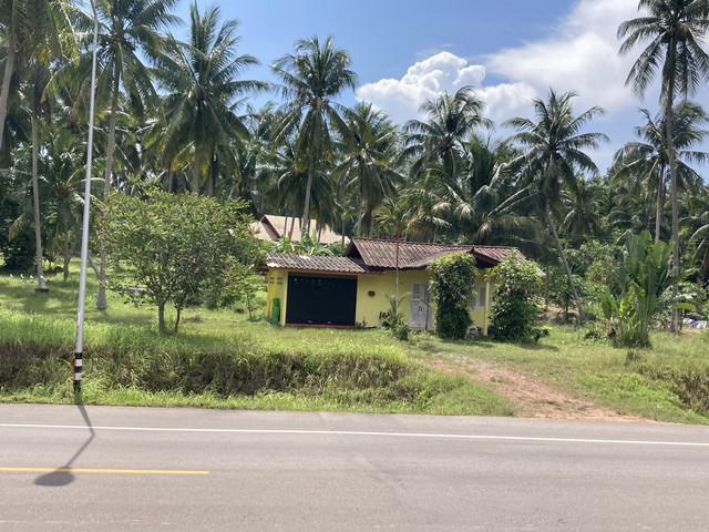 ที่ดิน 8000000 ชุมพร ปะทิว สะพลี ที่ดิน 8000000 ชุมพร ปะทิว สะพลี
