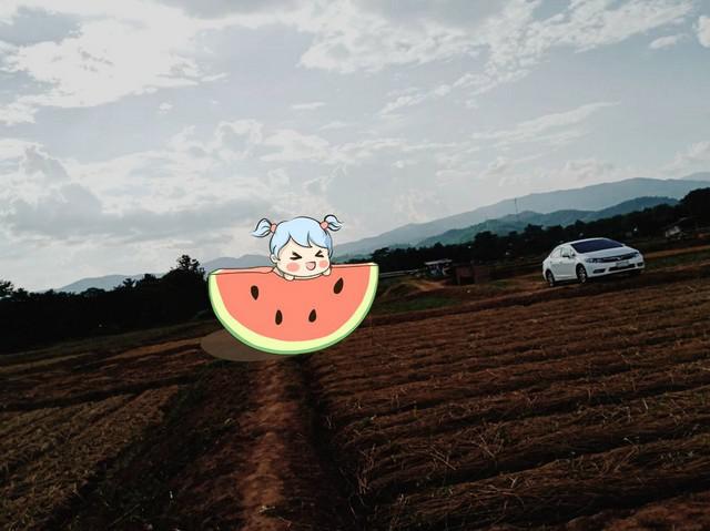 ที่ดิน 800000 น่าน ท่าวังผา ศรีภูมิ ที่ดิน 800000 น่าน ท่าวังผา ศรีภูมิ