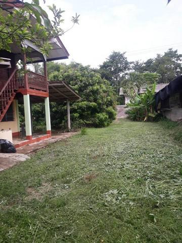 บ้านเดี่ยว 1300000 ลำพูน เมืองลำพูน ต้นธง