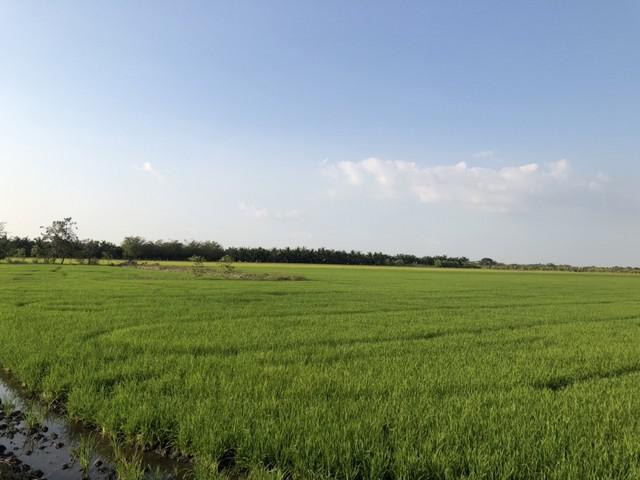 ที่ดิน 800000 ปทุมธานี  