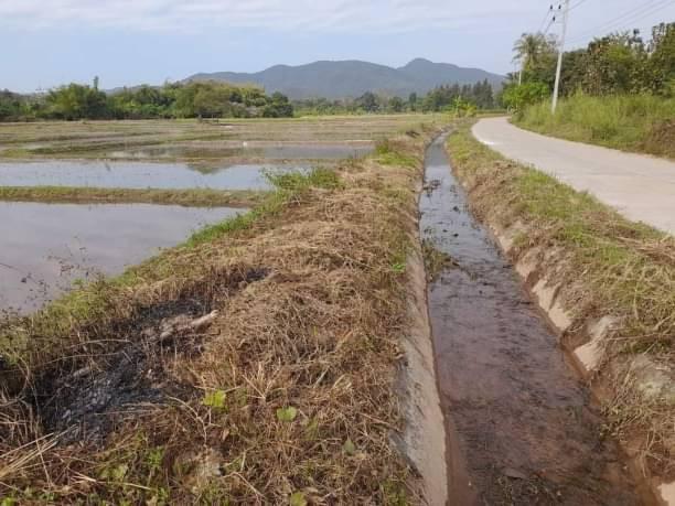 ที่ดิน 1200000 เชียงใหม่ สันทราย ป่าไผ่ ที่ดิน 1200000 เชียงใหม่ สันทราย ป่าไผ่