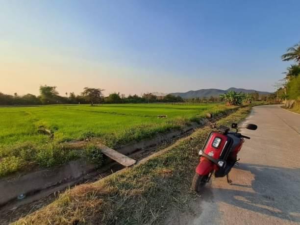 ที่ดิน 1200000 เชียงใหม่ สันทราย ป่าไผ่ ที่ดิน 1200000 เชียงใหม่ สันทราย ป่าไผ่