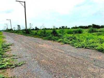 ที่ดิน 11911875 ปทุมธานี หนองเสือ บึงบา