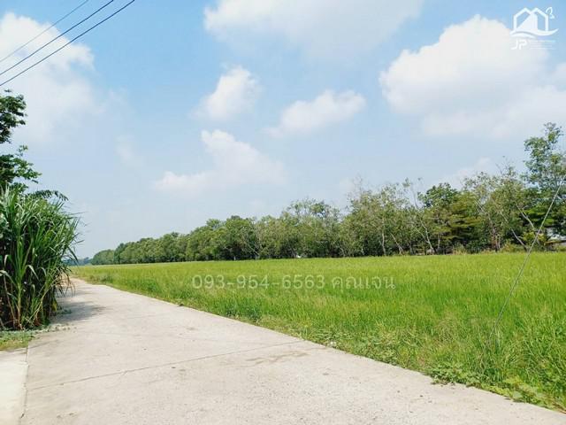 ที่ดิน 4375000 ปทุมธานี หนองเสือ หนองสามวัง ที่ดิน 4375000 ปทุมธานี หนองเสือ หนองสามวัง