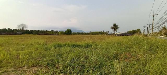 ที่ดิน 6000000 จันทบุรี มะขาม ปัถวี ที่ดิน 6000000 จันทบุรี มะขาม ปัถวี