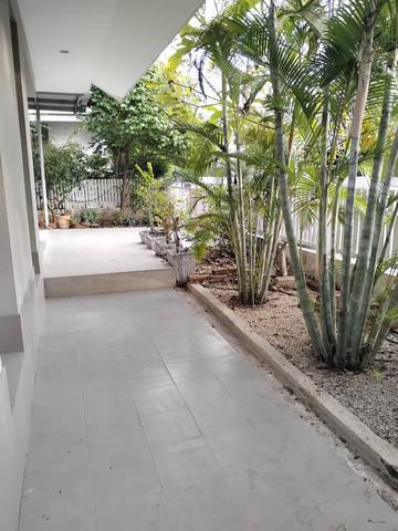 บ้านเดี่ยว 2390000 ลำปาง เมืองลำปาง ชมพู บ้านเดี่ยว 2390000 ลำปาง เมืองลำปาง ชมพู