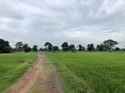 ที่ดิน 0 ศรีสะเกษ อุทุมพรพิสัย รังแร้ง
