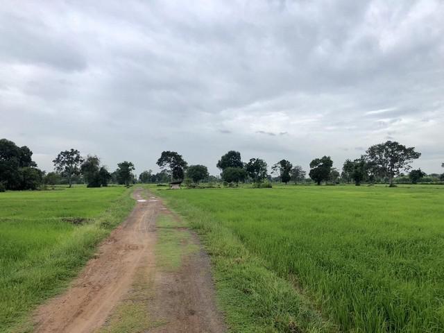 ที่ดิน 0 ศรีสะเกษ อุทุมพรพิสัย รังแร้ง ที่ดิน 0 ศรีสะเกษ อุทุมพรพิสัย รังแร้ง