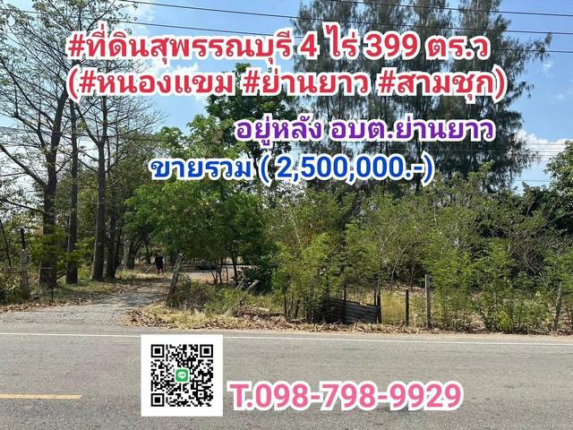 ที่ดิน 2500000 สุพรรณบุรี สามชุก ย่านยาว ที่ดิน 2500000 สุพรรณบุรี สามชุก ย่านยาว