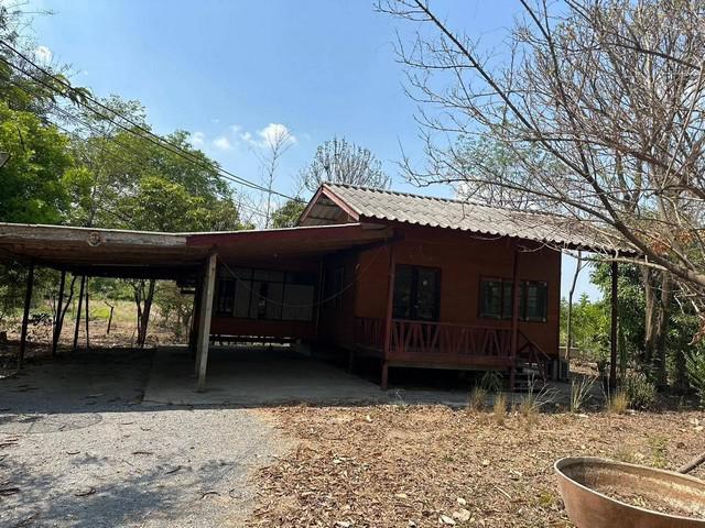 ที่ดิน 2500000 สุพรรณบุรี สามชุก ย่านยาว ที่ดิน 2500000 สุพรรณบุรี สามชุก ย่านยาว