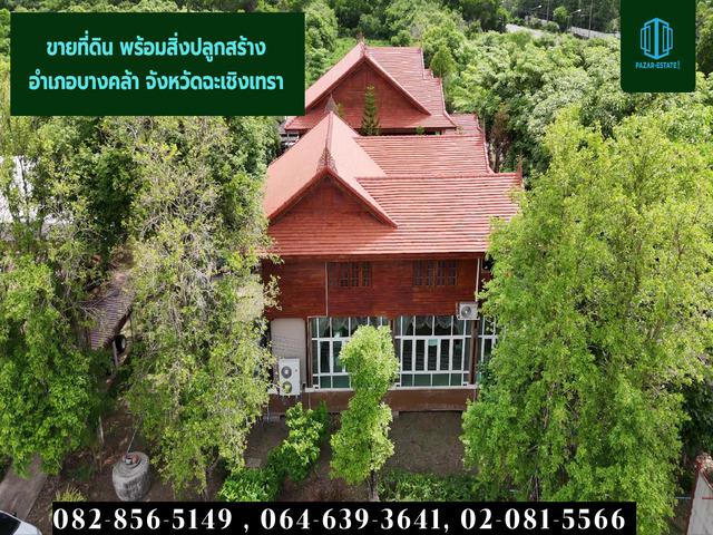 ที่ดิน 252762500 ฉะเชิงเทรา บางคล้า หัวไทร ที่ดิน 252762500 ฉะเชิงเทรา บางคล้า หัวไทร