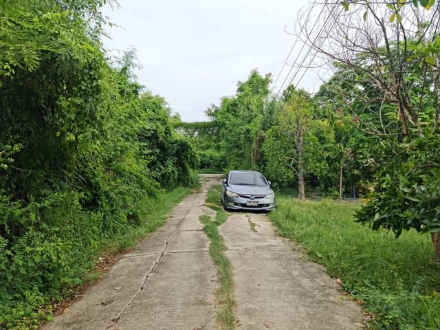 บ้านเดี่ยว 3300000 นนทบุรี บางใหญ่ บ้านใหม่ บ้านเดี่ยว 3300000 นนทบุรี บางใหญ่ บ้านใหม่