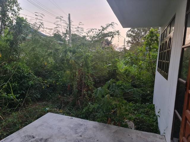 บ้านเดี่ยว 4200000 นนทบุรี บางใหญ่ บางเลน บ้านเดี่ยว 4200000 นนทบุรี บางใหญ่ บางเลน