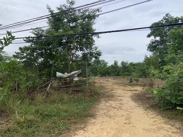 ที่ดิน 4200000 สงขลา รัตภูมิ คูหาใต้ ที่ดิน 4200000 สงขลา รัตภูมิ คูหาใต้