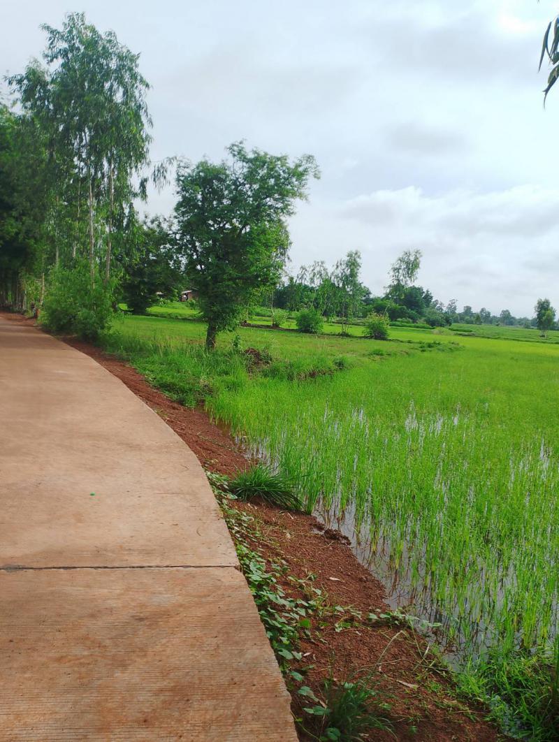 ที่ดิน 1300000 นครพนม เมืองนครพนม นาทราย