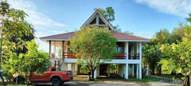 บ้านเดี่ยว 7900000 เชียงใหม่ หางดง น้ำแพร่ บ้านเดี่ยว 7900000 เชียงใหม่ หางดง น้ำแพร่