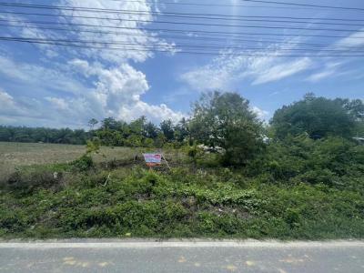 ที่ดิน 850000 นครศรีธรรมราช ท่าศาลา ไทยบุรี