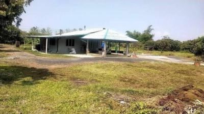 ที่ดิน 9672000 เชียงใหม่ หางดง หนองแก๋ว