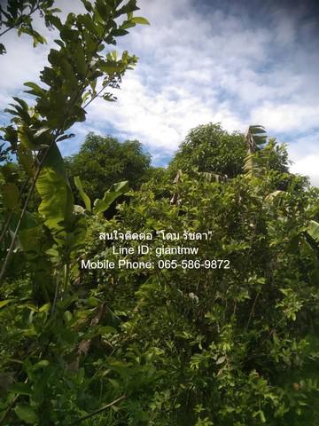 ที่ดิน 9093000 นครปฐม เมืองนครปฐม หนองงูเหลือม ที่ดิน 9093000 นครปฐม เมืองนครปฐม หนองงูเหลือม