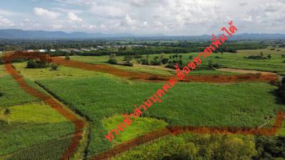 ที่ดิน 13485000 นครราชสีมา ปากช่อง วังไทร