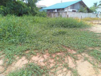 ที่ดิน 550000 พิษณุโลก เมืองพิษณุโลก อรัญญิก
