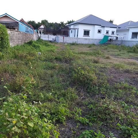 ที่ดิน 1850000 ขอนแก่น เมืองขอนแก่น ศิลา ที่ดิน 1850000 ขอนแก่น เมืองขอนแก่น ศิลา