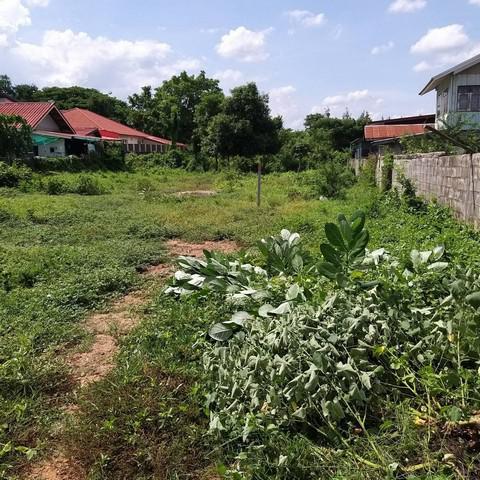 ที่ดิน 1850000 ขอนแก่น เมืองขอนแก่น ศิลา ที่ดิน 1850000 ขอนแก่น เมืองขอนแก่น ศิลา