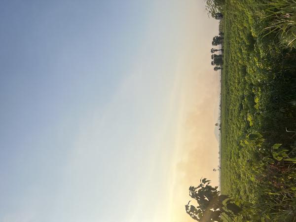 ที่ดิน 3200000 สระบุรี วังม่วง วังม่วง ที่ดิน 3200000 สระบุรี วังม่วง วังม่วง