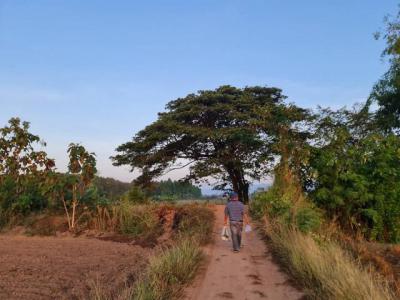 ที่ดิน 800000 หนองคาย โพนพิสัย กุดบง