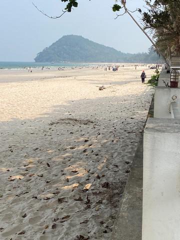 ที่ดิน 8000000 ชุมพร ปะทิว สะพลี