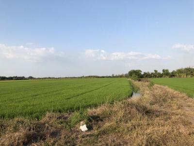 ที่ดิน 800000 ปทุมธานี ลาดหลุมแก้ว บ่อเงิน