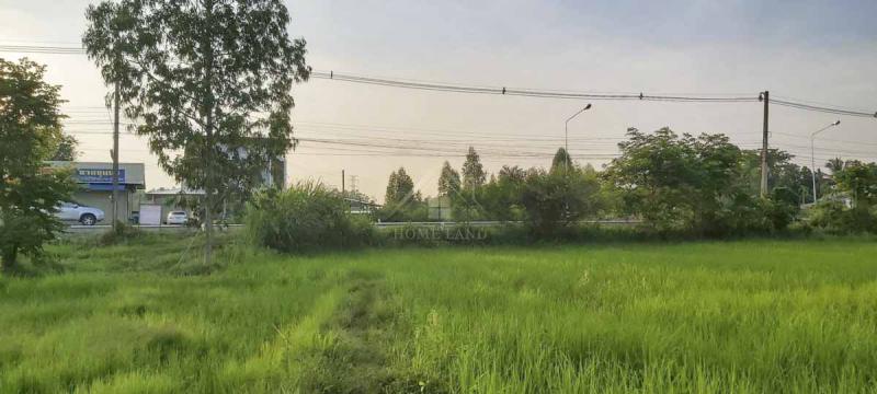 ที่ดิน 4500000 สกลนคร เมืองสกลนคร พังขว้าง