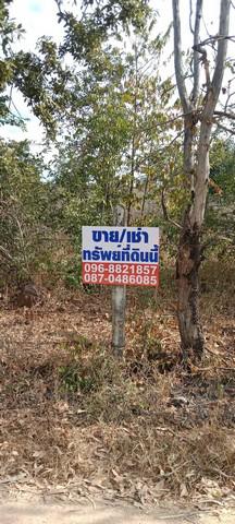 ที่ดิน 300000 ตาก บ้านตาก ตากตก ที่ดิน 300000 ตาก บ้านตาก ตากตก