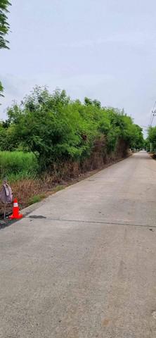ที่ดิน 12420000 ปทุมธานี คลองหลวง คลองหก ที่ดิน 12420000 ปทุมธานี คลองหลวง คลองหก